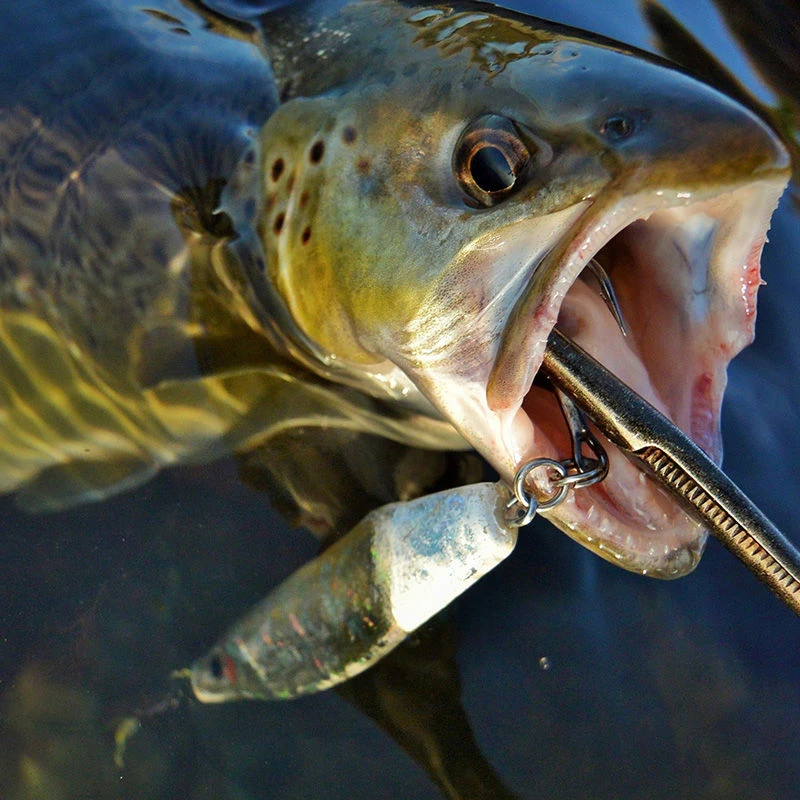 Westin Salty Lures